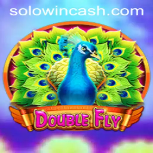 Exploring the Exciting World of DoubleFly and Solowin Login
