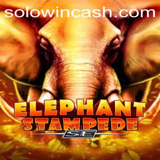 Wild Adventures with ElephantStampedeSE: Game Guide and Features of Solowin Login